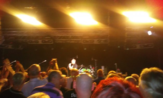 The Skids – Into The Valleys