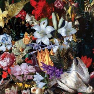 The Nightingales are the past, present and the future