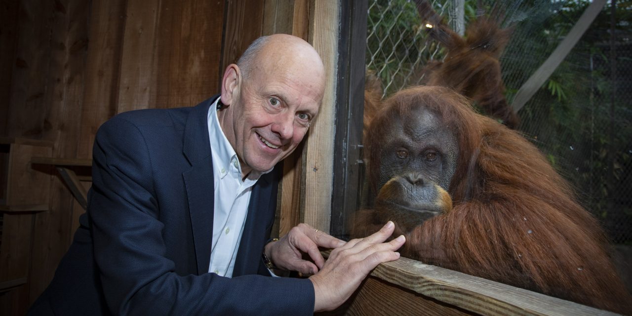 Carers launch campaign to save the planet – and orangutans