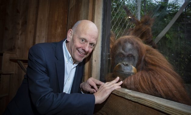 Carers launch campaign to save the planet – and orangutans