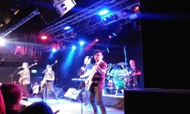 The Skids for Swansea