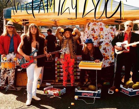 Wonder band The Family Dog play the Hiraeth Festival Port Talbot on July 12th