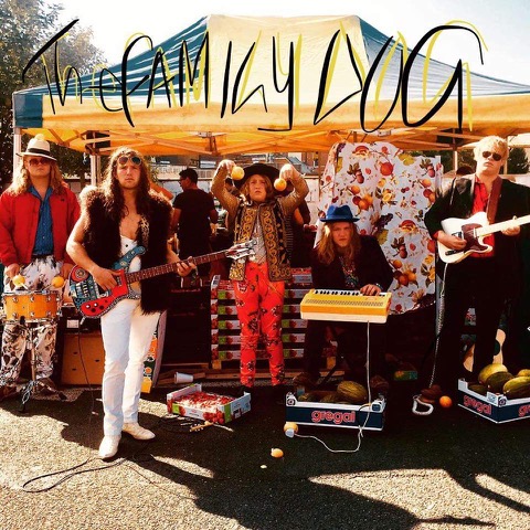 Wonder band The Family Dog play the Hiraeth Festival Port Talbot on July 12th