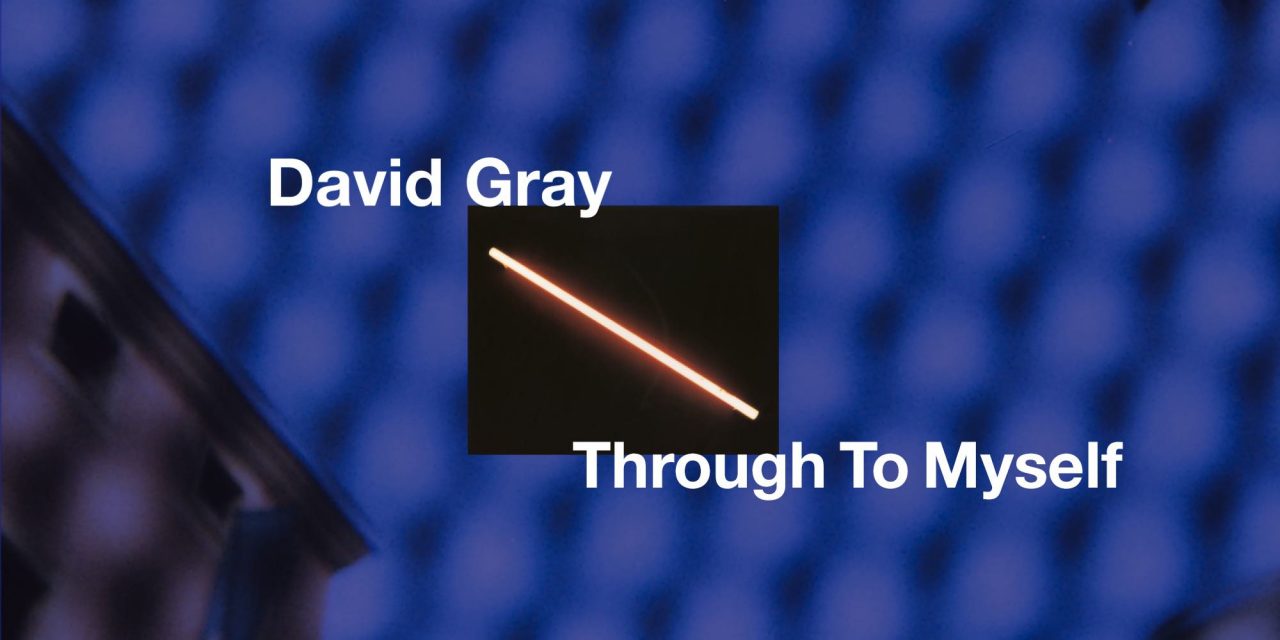 DAVID GRAY