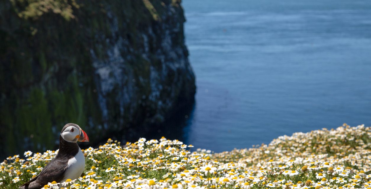 GAME OF THRONES STAR AND YOUNG ACTIVISTS APPEAL TO COMMISSIONER TO SAVE NATURE FOR FUTURE WALES