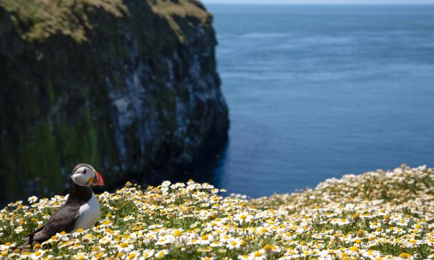 GAME OF THRONES STAR AND YOUNG ACTIVISTS APPEAL TO COMMISSIONER TO SAVE NATURE FOR FUTURE WALES