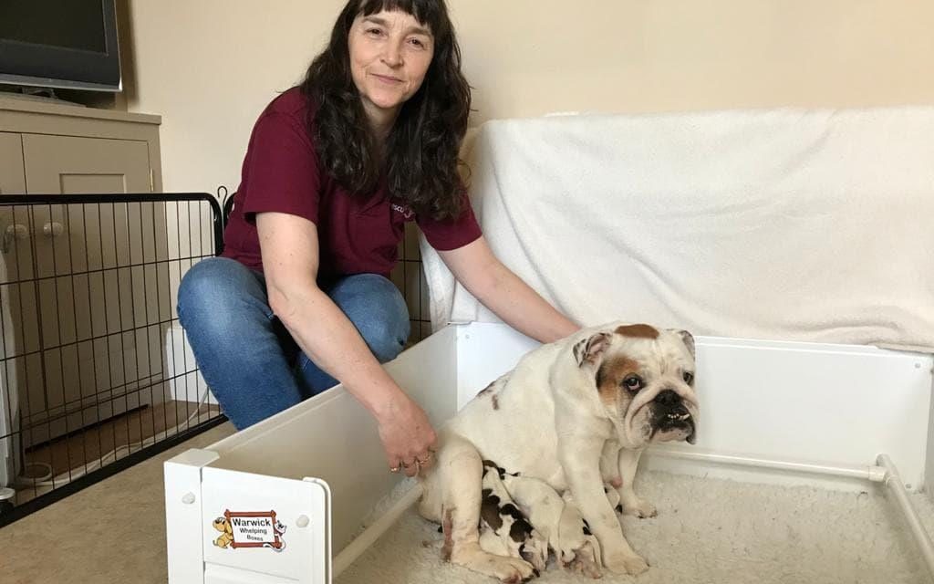 Hope Rescue Official Press Release