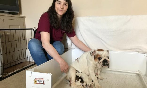 Hope Rescue Official Press Release