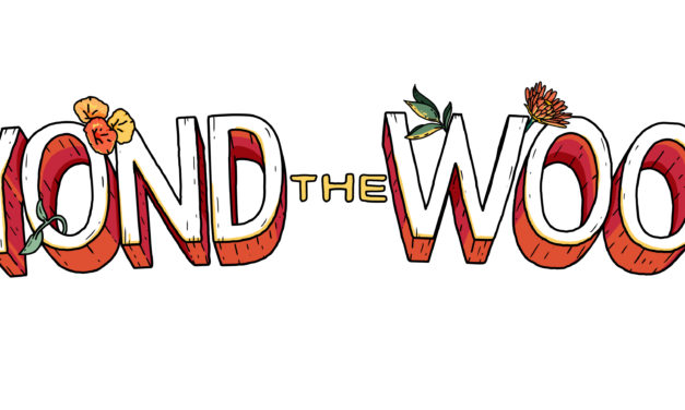 Beyond the Woods Festival 2021 will no longer be taking place.