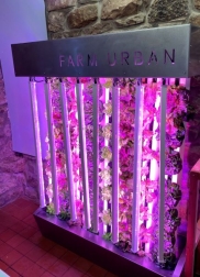 Current Supports Welsh Community CEA Initiative With Arize® Horticulture Lighting Gift