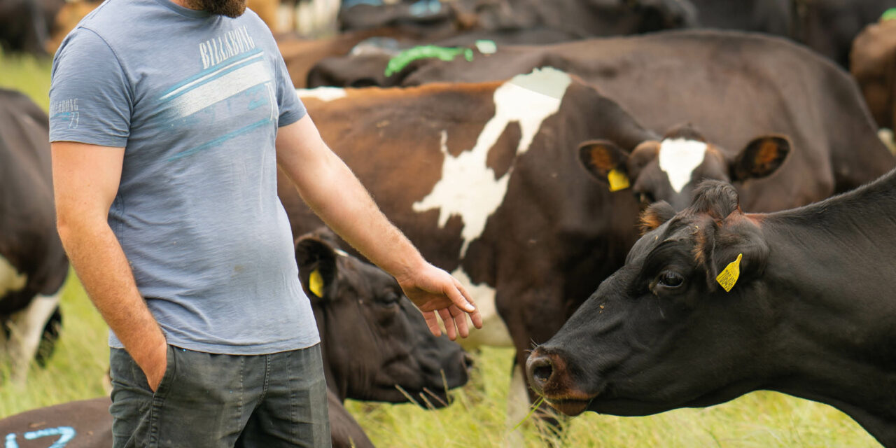 New Welsh Farming Community set to be launched at the Royal Welsh Show