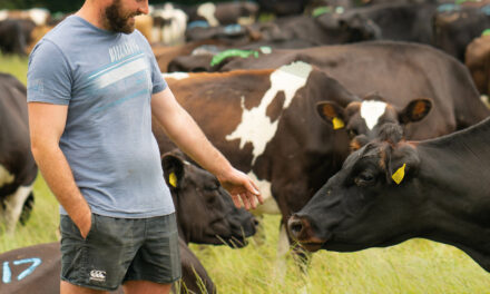 New Welsh Farming Community set to be launched at the Royal Welsh Show