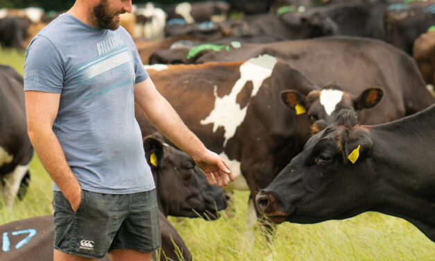 New Welsh Farming Community set to be launched at the Royal Welsh Show