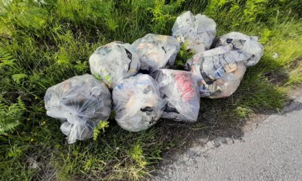 The Litter Banned