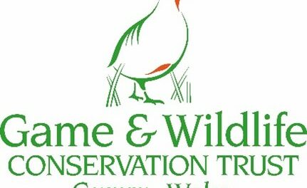 Conservation must go beyond nature reserves and national parks”  say GWCT Big Farmland Bird Count organisers in Wales