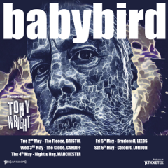 Babybird live in Cardiff on May 3rd – interview time available