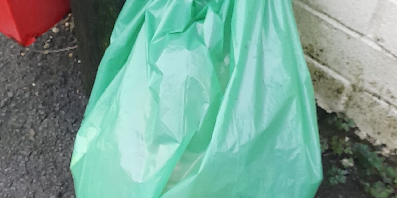 Modern life need not be rubbish : A call to the young to influence the future.