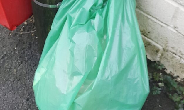 Modern life need not be rubbish : A call to the young to influence the future.