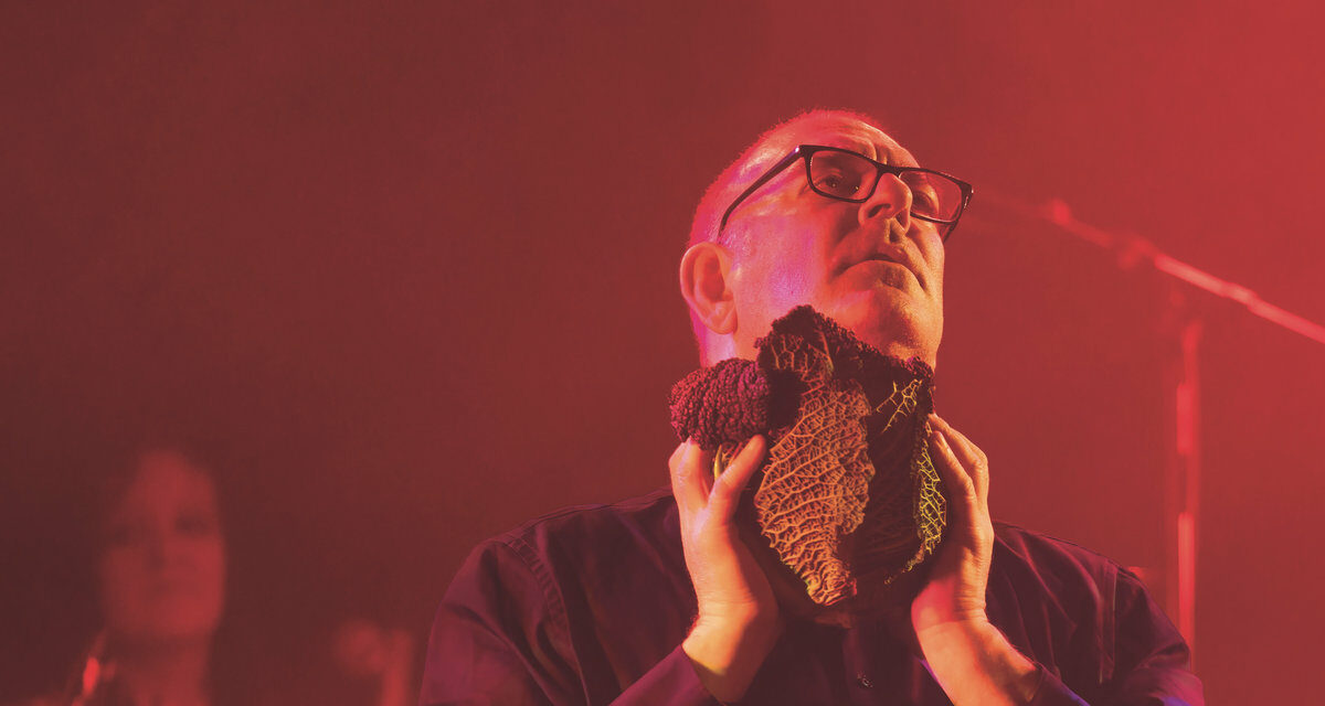 NIghtingales live and limited