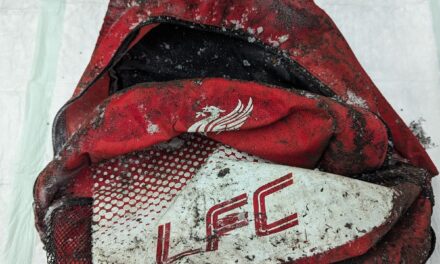 RSPCA Cymru appeal after three dead cats found in bag in Troedyrhiw