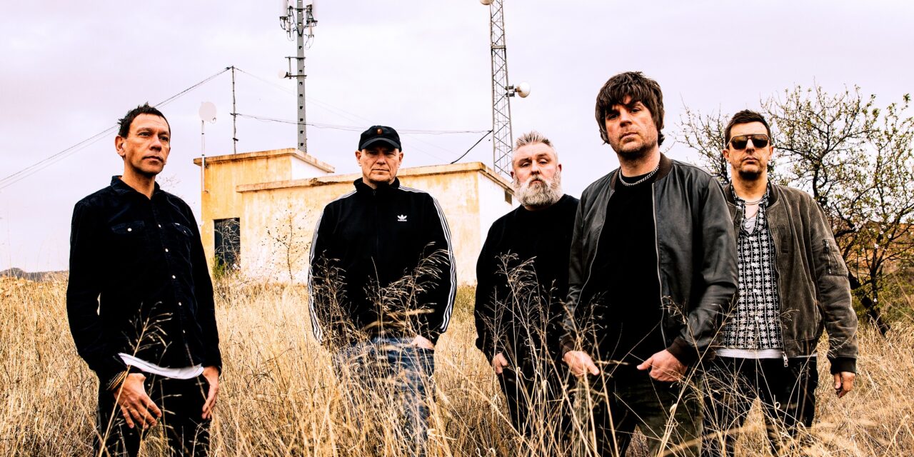 Shed Seven are busy boys