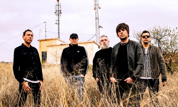 Shed Seven are busy boys