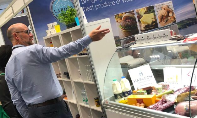 A FOOD and drink project will serve up support for producers in Wales and review school dinner menus across the country