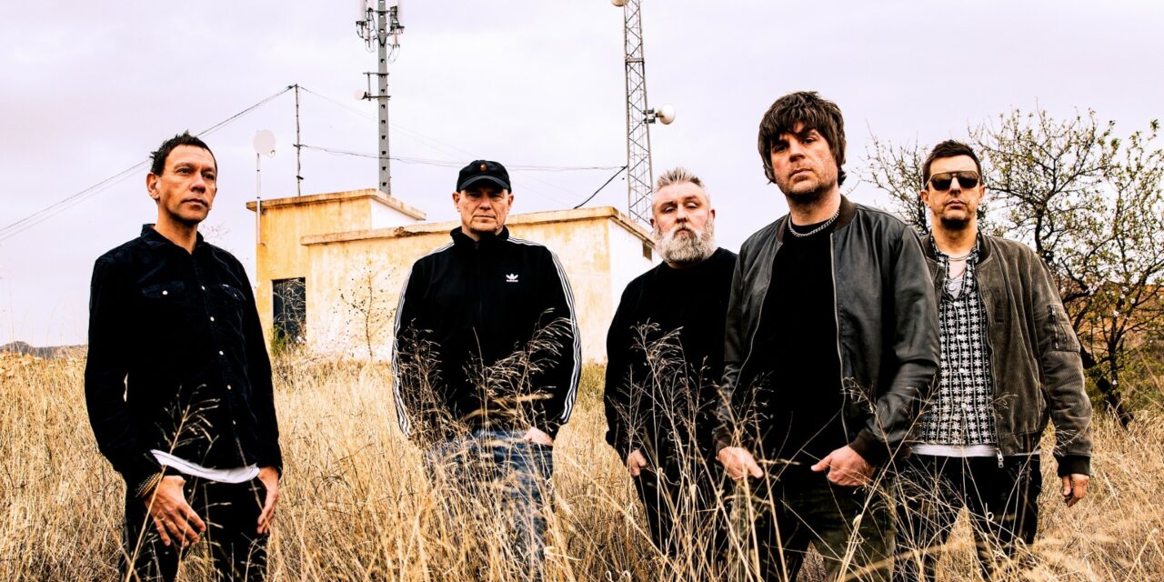 Shed 7 returns with more gold