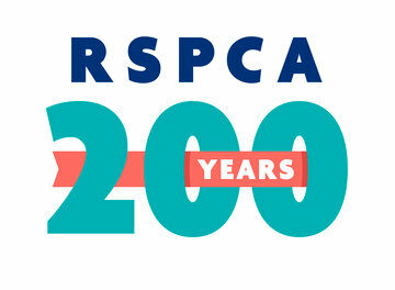 Help RSPCA Wyth Sir Branch TODAY by supporting cat rehoming project