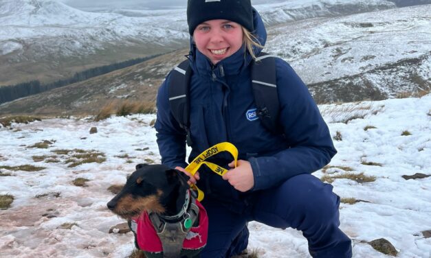 Terrier climbs Pen Y Fan to raise money for charity that’s cared for him for three years