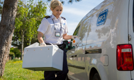 New Welsh Government could pave the way for statutory powers for RSPCA