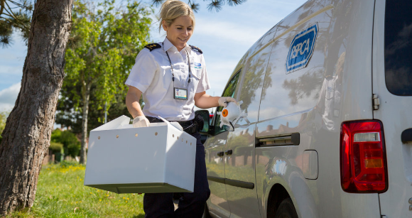 New Welsh Government could pave the way for statutory powers for RSPCA