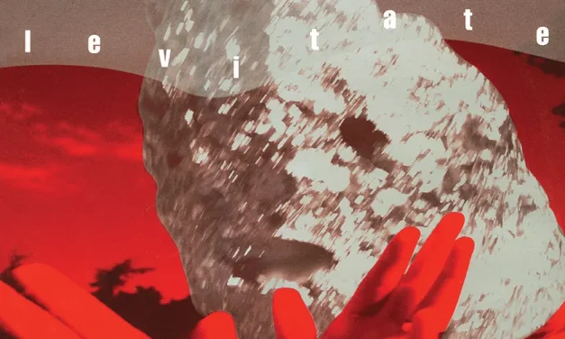 The Fall – Levitate into 2025